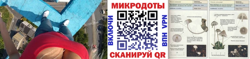 Псилоцибиновые грибы MAGIC MUSHROOMS  Купить закладки  Сасово 